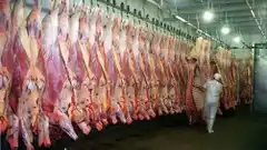 Comienza a elaborarse el Plan Ganadero: financiamiento y beneficios fiscales, los puntos clave