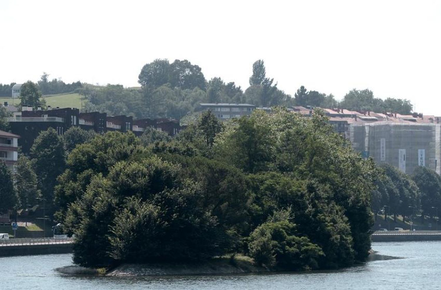 Isla de los Faisanes: el único territorio que cambia de soberanía