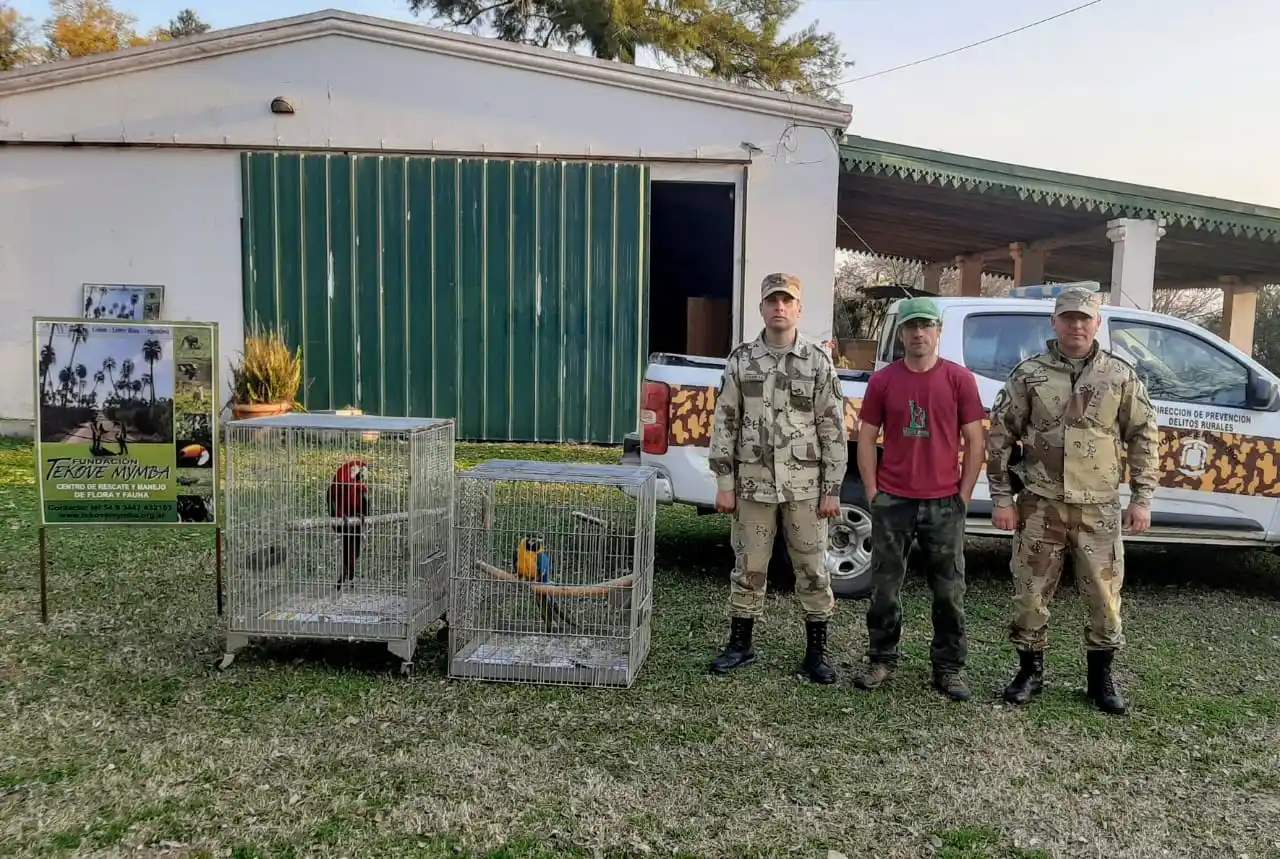 La Justicia Federal se declaró incompetente en la causa de los guacamayos