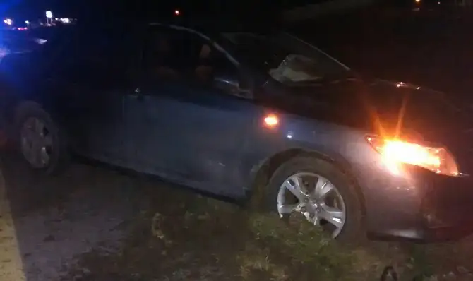 Un auto despistó esta madrugada en la Autovía 14 