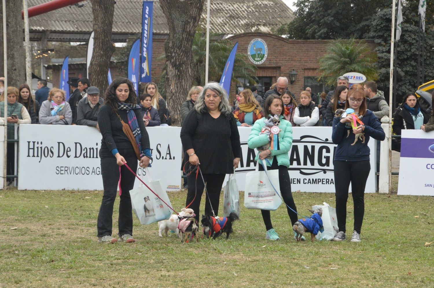 Paseo canino - 1