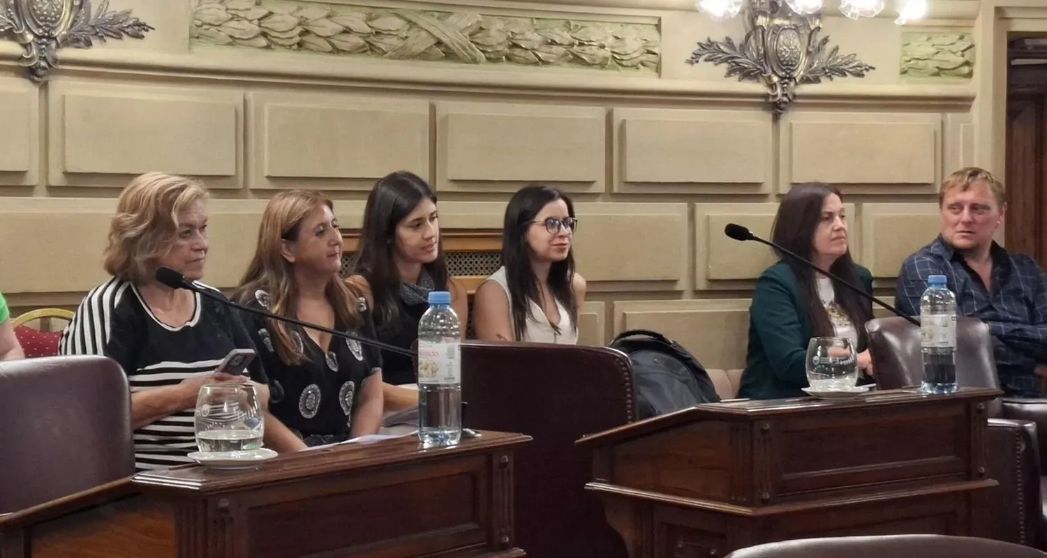 La secretaria de Mujeres, Género y Diversidad, Alicia Tate (primera desde la izquierda), valoró especialmente el veloz tratamiento que dieron ambos cuerpos legislativos en Santa Fe. Gentileza Cámara de Senadores