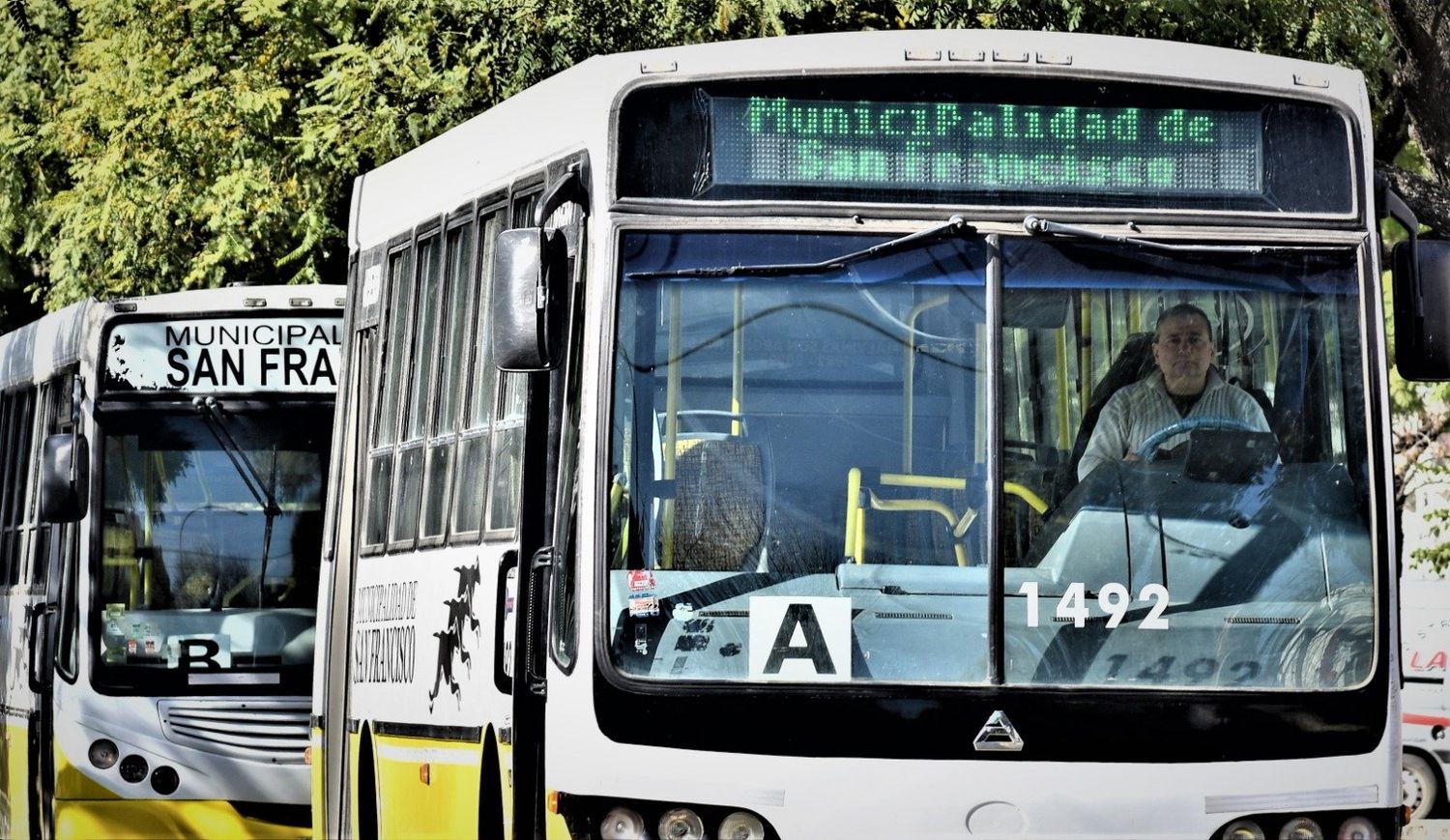 Transporte urbano: buscan implementar la gratuidad en el cambio de línea