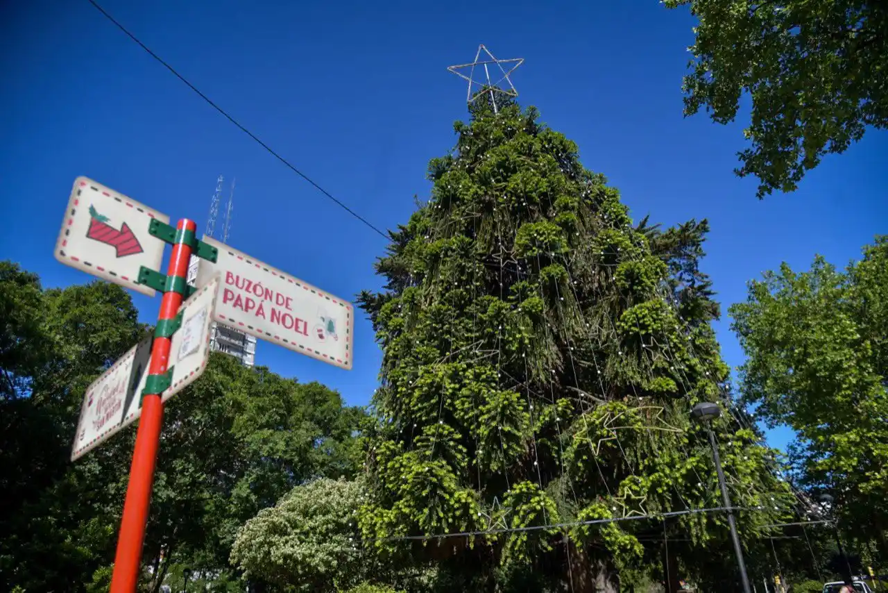 Mar del Plata enciende su árbol de navidad a pura fiesta