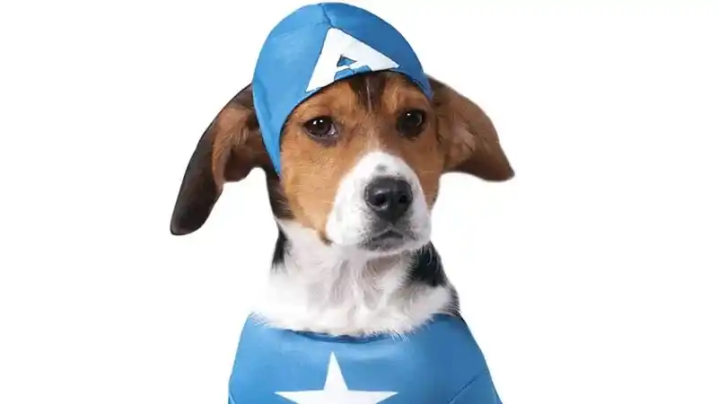 Se reprogramó el evento "Bendición de Mascotas y Desfile de Disfraces"