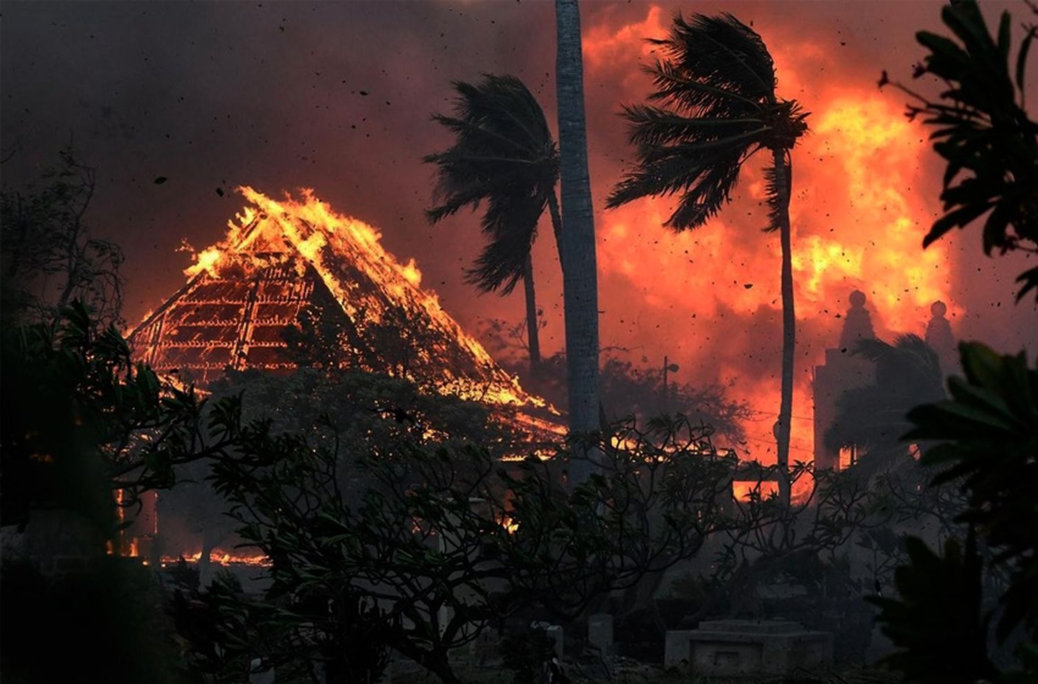 El drama que atraviesa una marplatense en Hawái tras los incendios en la isla de Maui