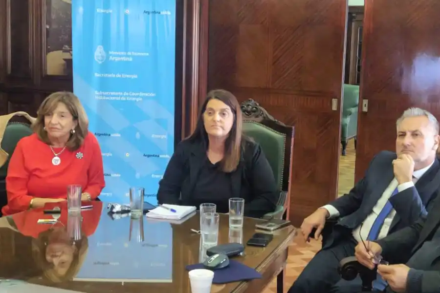 Gasoducto Néstor Kirchner: Lewandowski y Frana junto a jefes comunales se reunieron con el equipo técnico de Energía