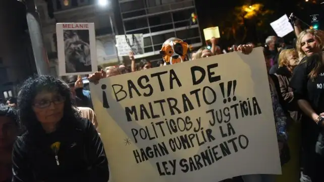 Fiscalía recibe 5 denuncias semanales por maltrato animal en Rosario