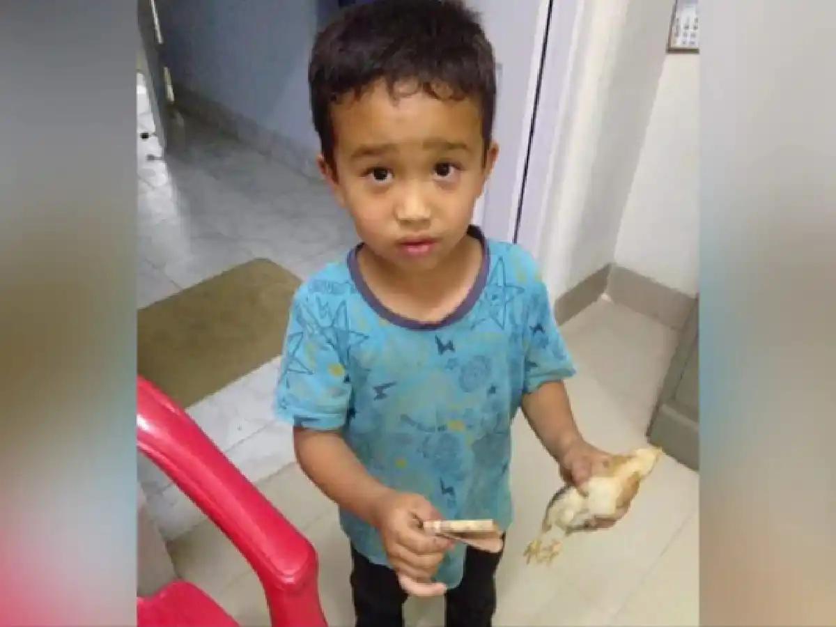 Atropelló a un pollito por accidente con su bicicleta y lo llevó al hospital con todos sus ahorros