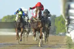 Quena Rec, el rebelde que no quiso perder