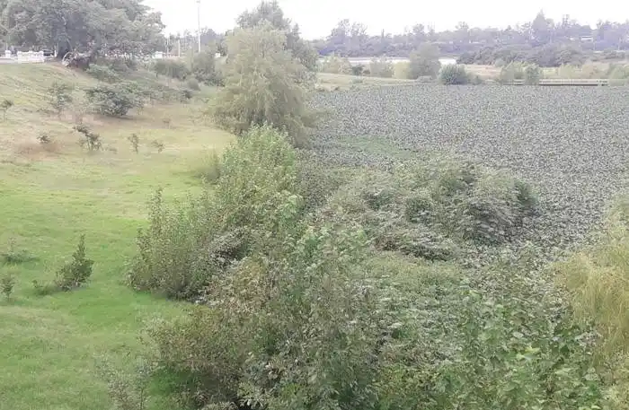 Convocan a asamblea de visibilización y limpieza en el arroyo Manzores