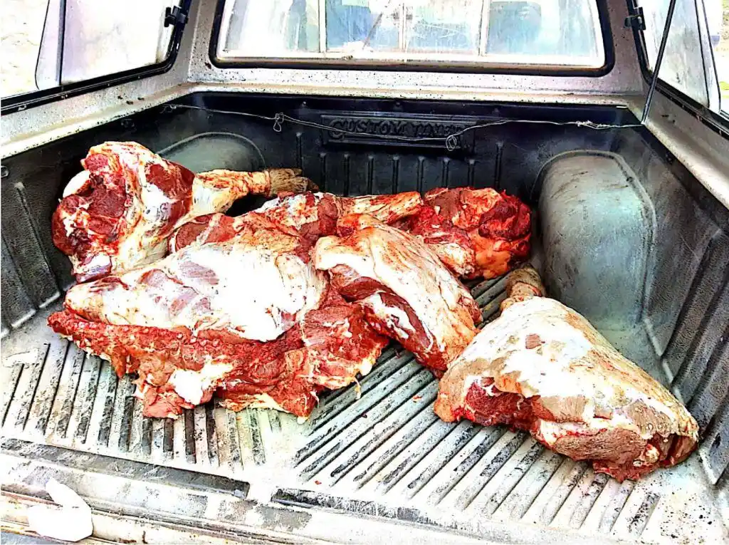 Confiscaron un cerdo con resultado positivo de triquinosis