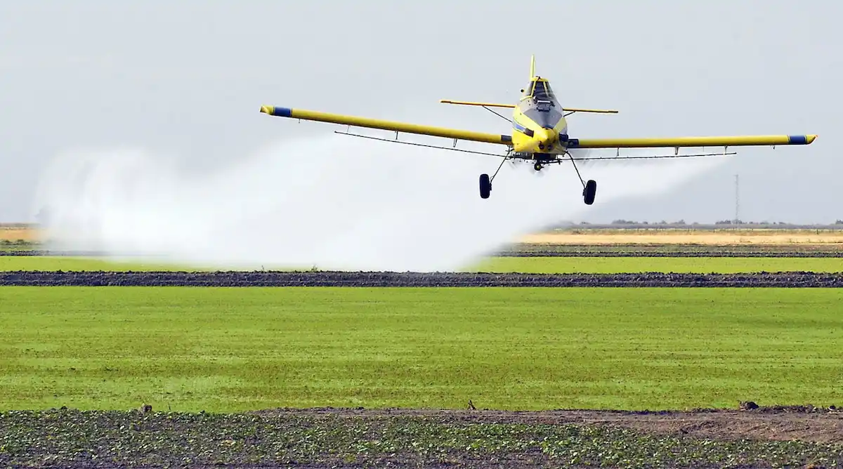 La nueva Ley de Fitosanitarios enfrenta posturas encontradas y alimenta un viejo debate