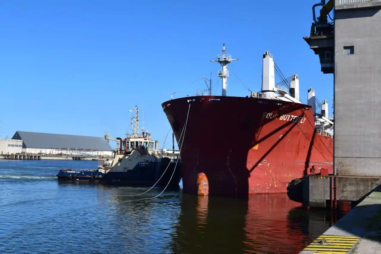 La carga de semillas de girasol  vuelve a Puerto Quequén