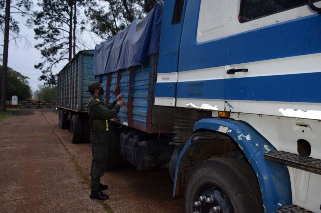 Incautan  65 toneladas de soja ilegal en camiones