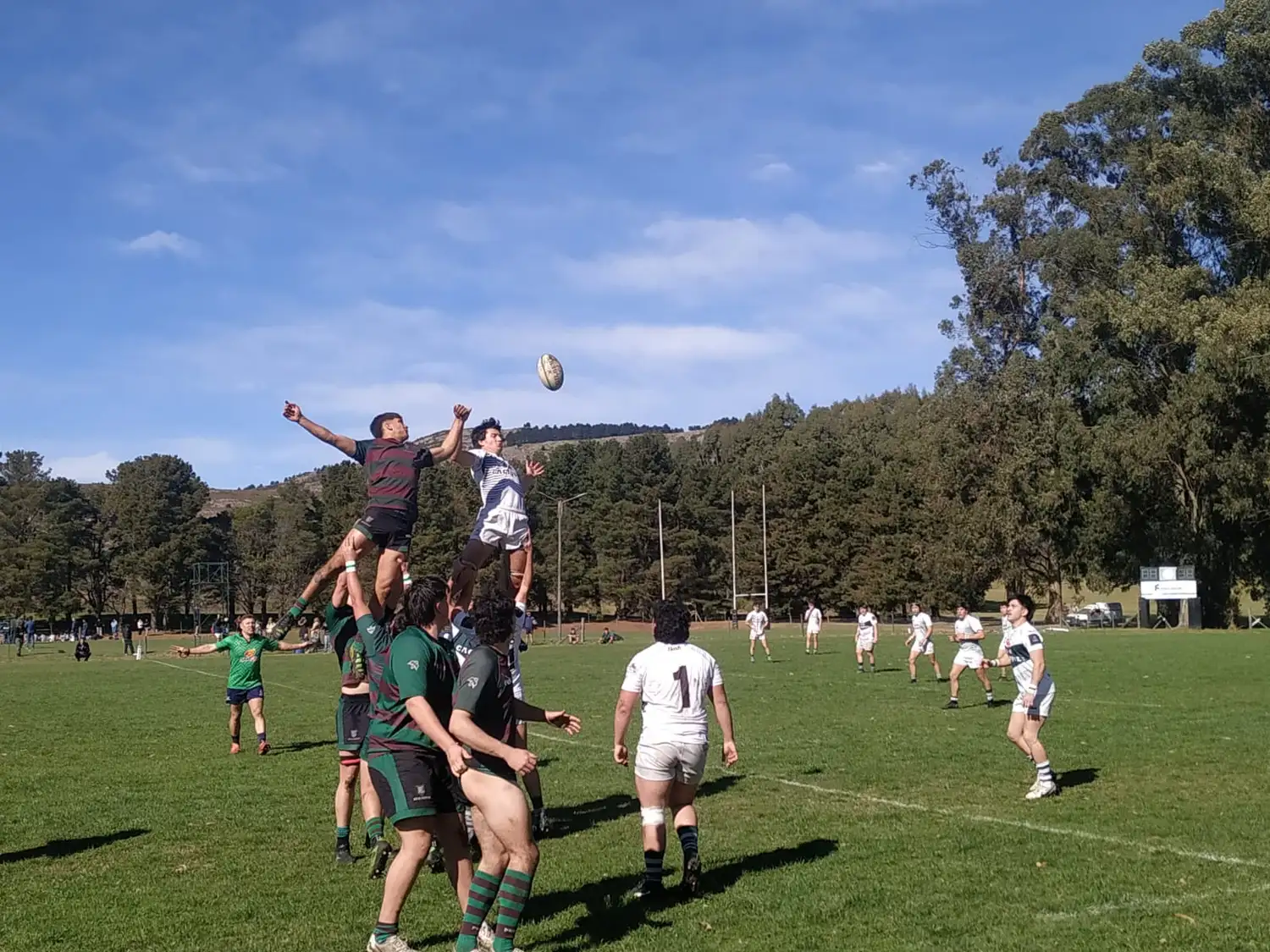 ECO RUGBY - 1