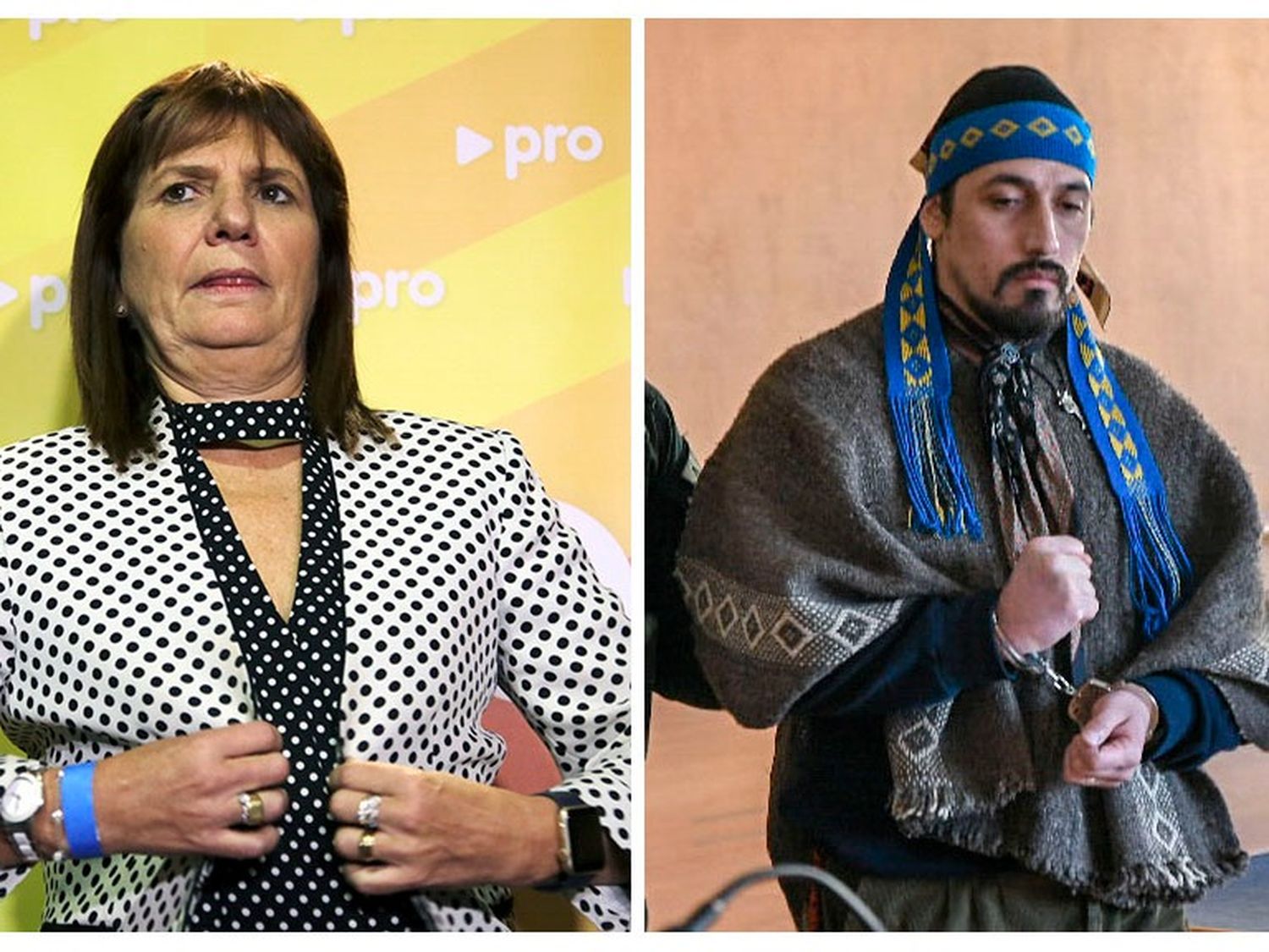Patricia Bullrich anunció la detención de Jones Huala