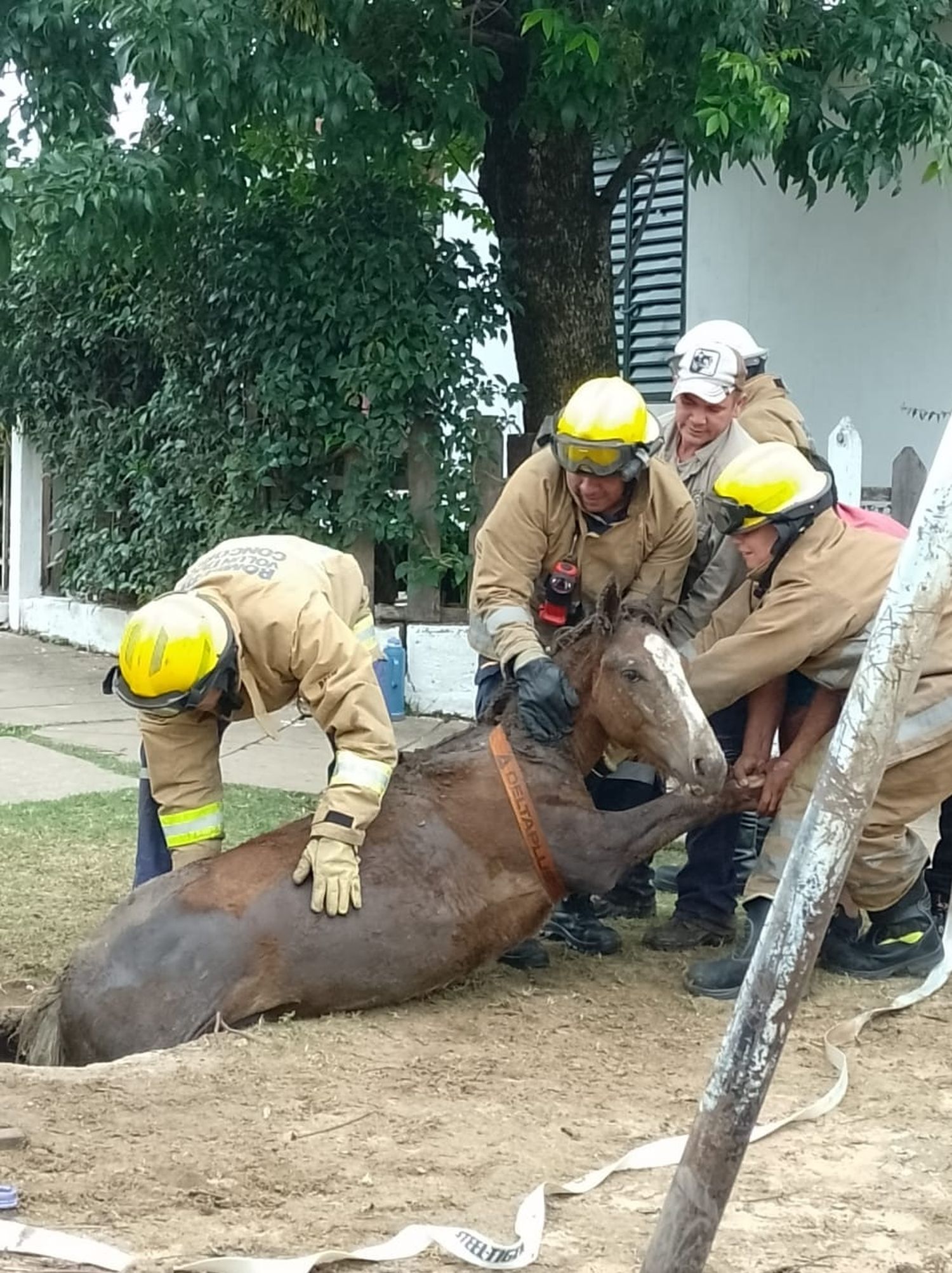 Bomberos Voluntarios rescató un potrillo atrapado en boca de tormenta