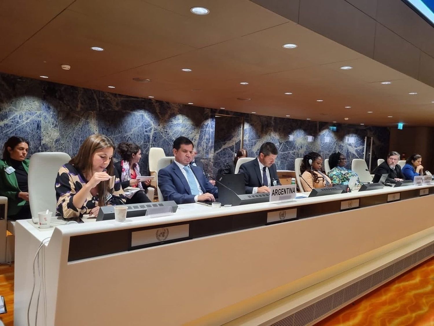 La Provincia presentó los avances en desmanicomialización ante la ONU
