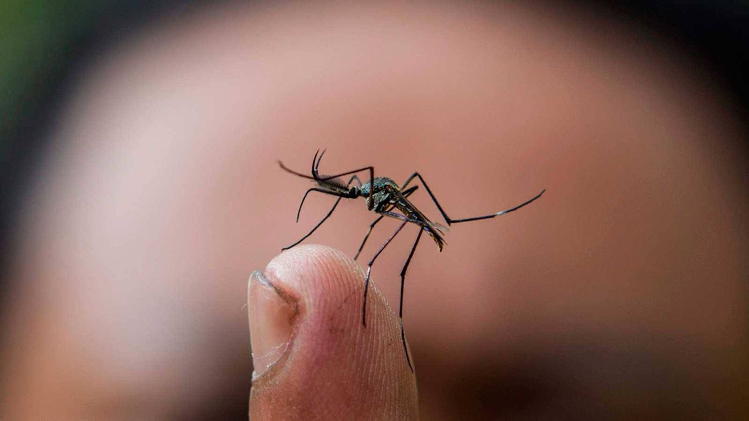 Bloqueo sanitario por un caso de dengue importado en Crespo