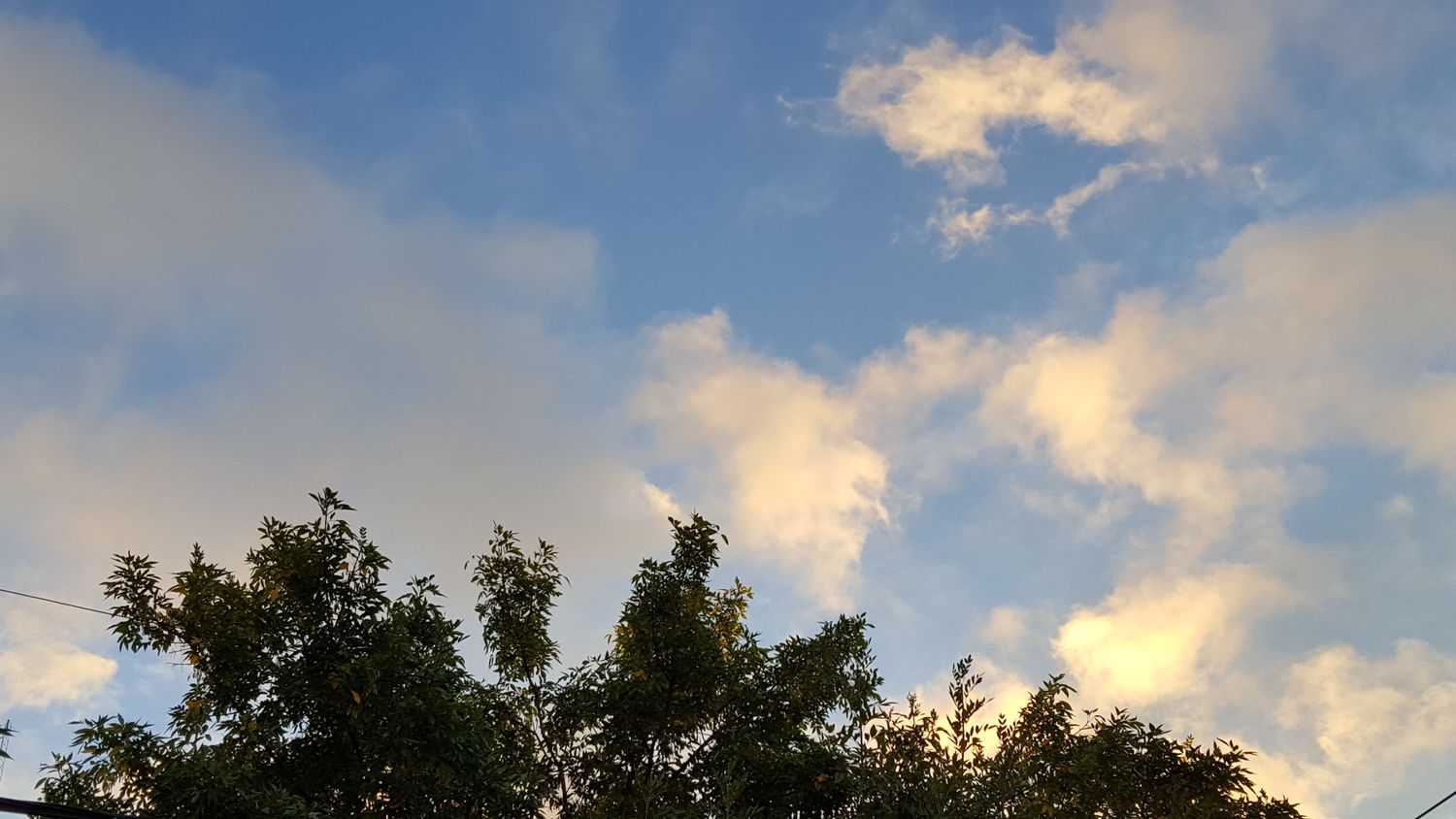 El Servicio Meteorológico Nacional emitió un alerta por tormentas fuertes a severas para esta noche y la madrugada del sábado