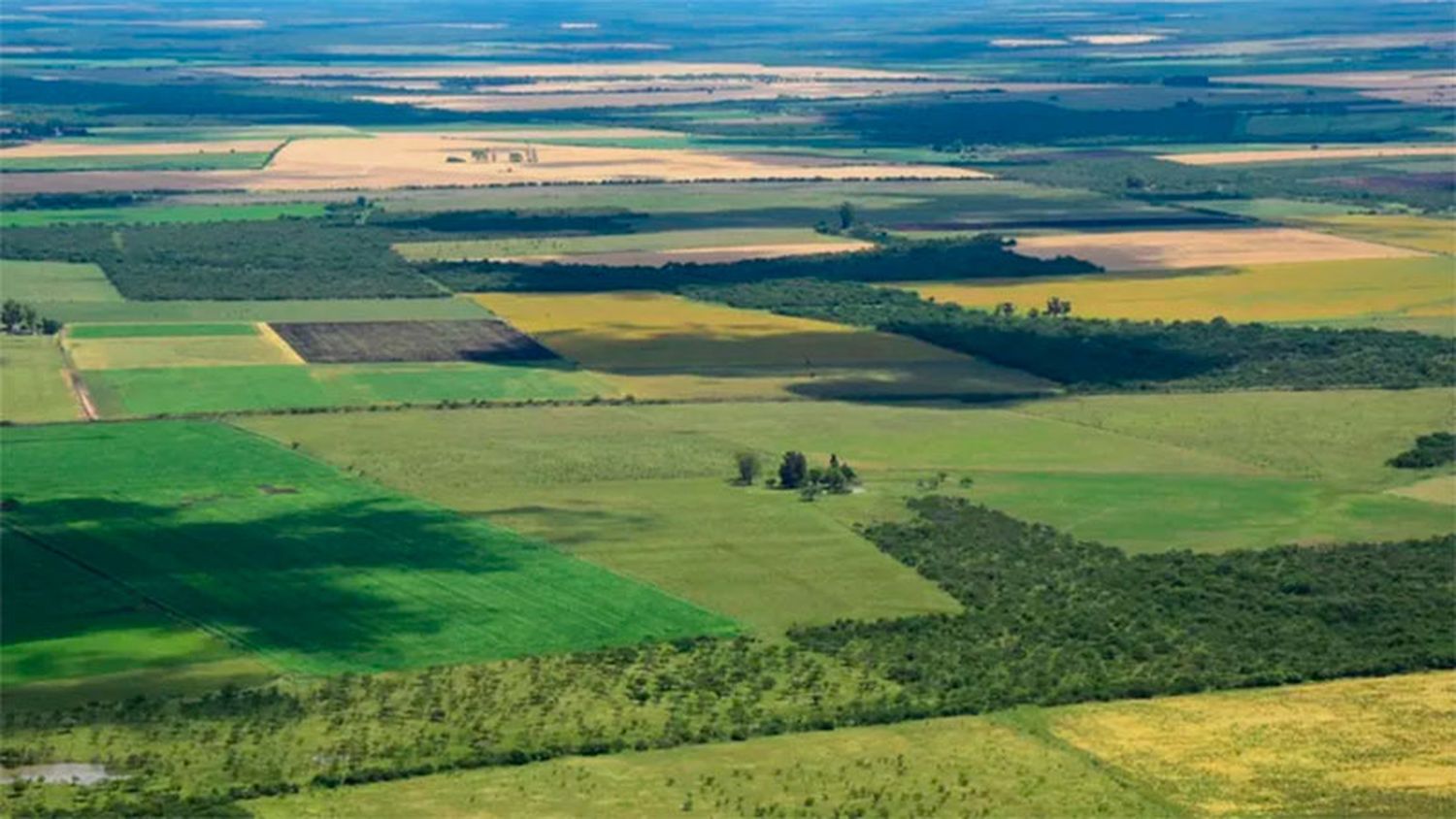 La Federación Agraria Argentina se opone a la derogación de la Ley de Tierras