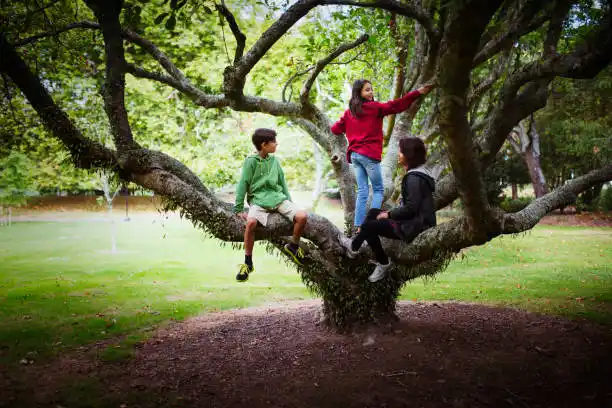 ASESINA a niño que jugaba en el parque