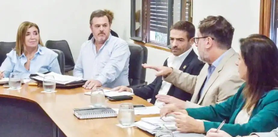 Senado analizó proyecto sobre el arancelamiento hospitalario y de atención humanizada en relación al Síndrome de Down