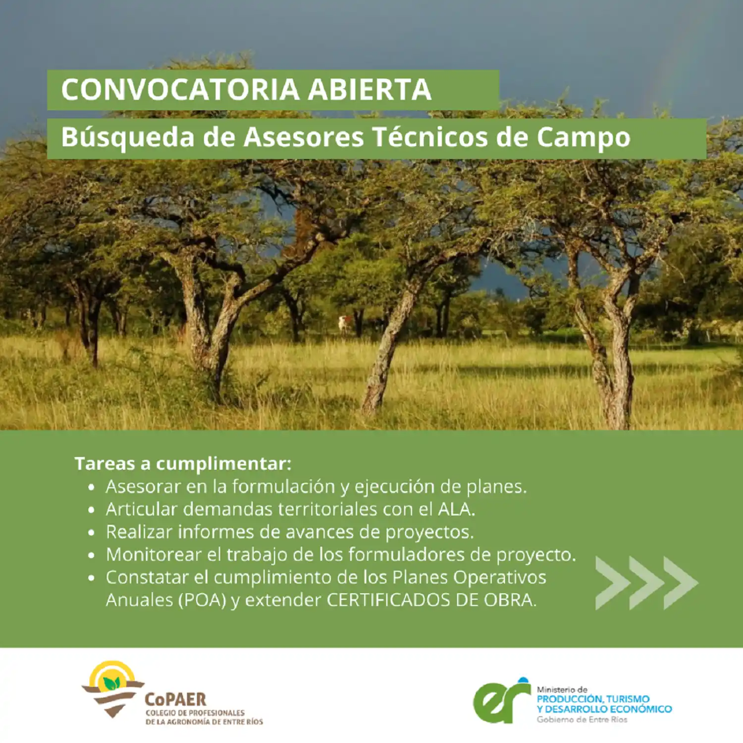 Bosque Nativo: Convocan a profesionales para integrar un equipo técnico