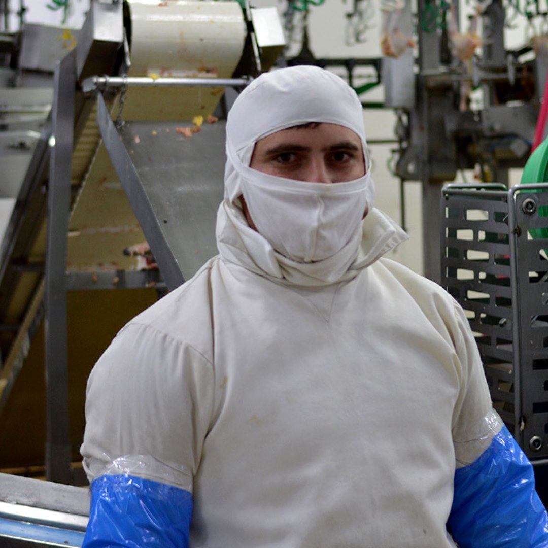 La industria es desarrollo