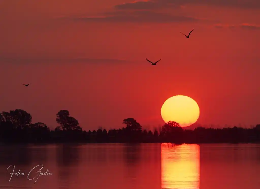 Opiniones: Necesitamos urgente que se apruebe en el parlamento argentino una ley de protección de los humedales