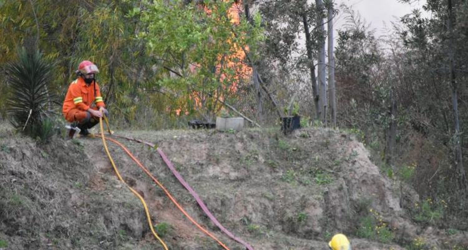 El Gobierno prepara una denuncia penal por los incendios en la zona de islas