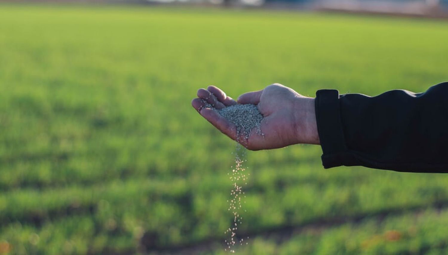 Dieron otro paso para desregular las importaciones de fertilizantes
