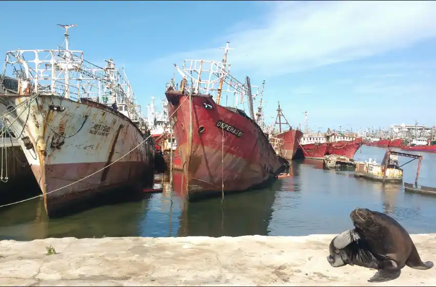 Puerto: "Los consorcios son un sistema que ya fue y la provincia debe tener el protagonismo"