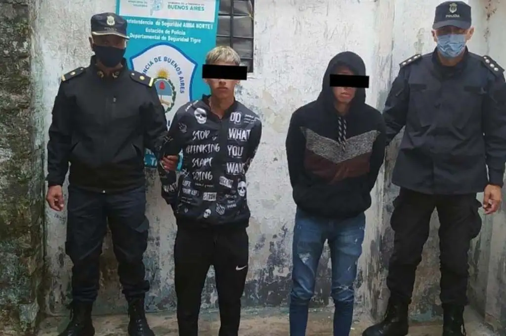 Asesinan a golpes a una anciana: dos vecinos detenidos