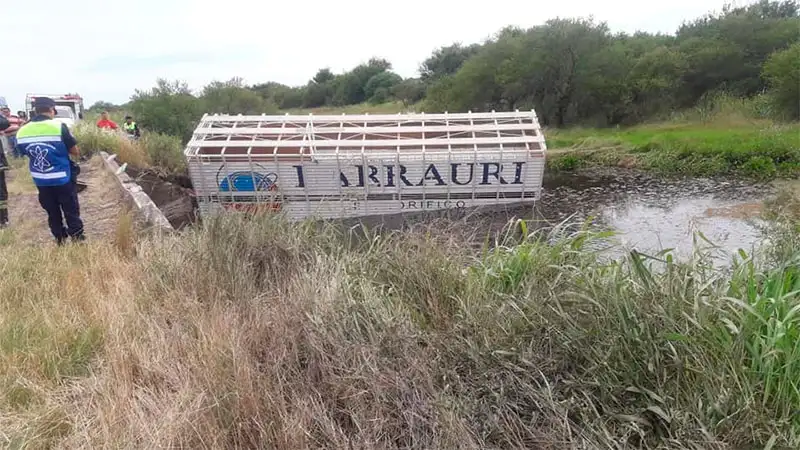 Despistó en Ruta 6 y cayó al agua: el camionero murió ahogado