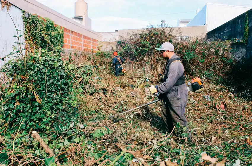 Realizan tareas de mantenimiento en terrenos baldíos y atribuye los costos a los titulares