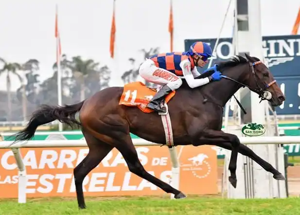 Las Guineas y el Comparación, en un finde imperdible