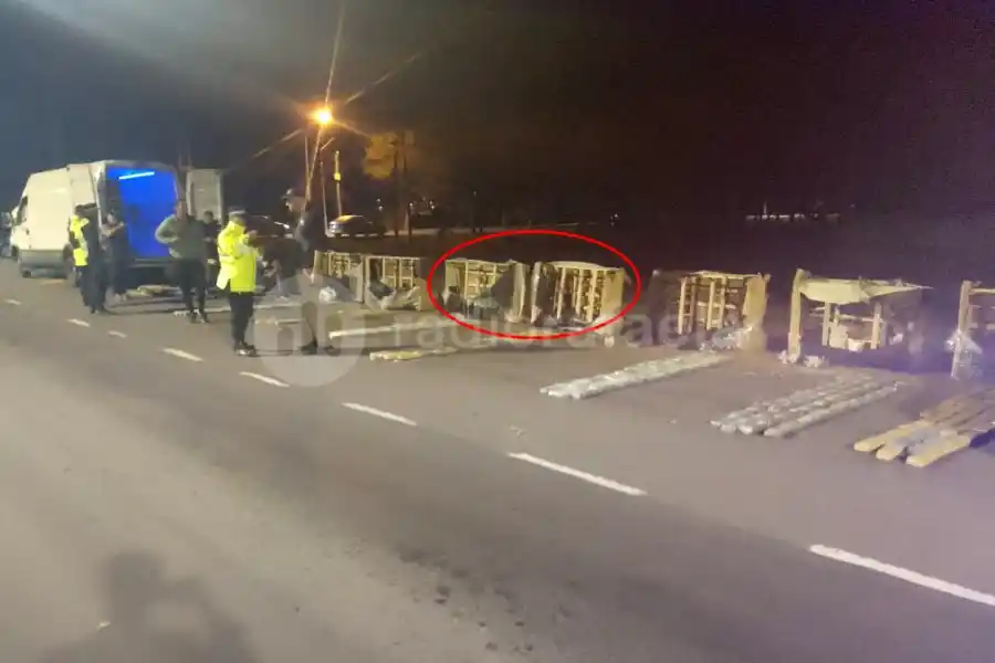 Ocultos en sillones de living, trasladaban más de 261 kilos de marihuana