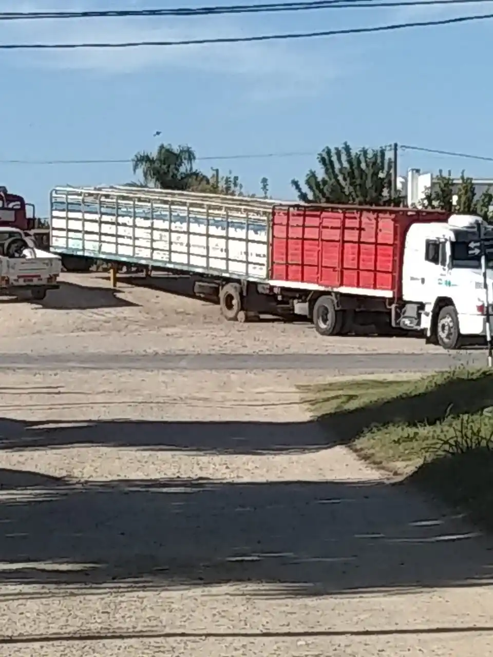 Un camión jaula quedó varado en un paso a nivel