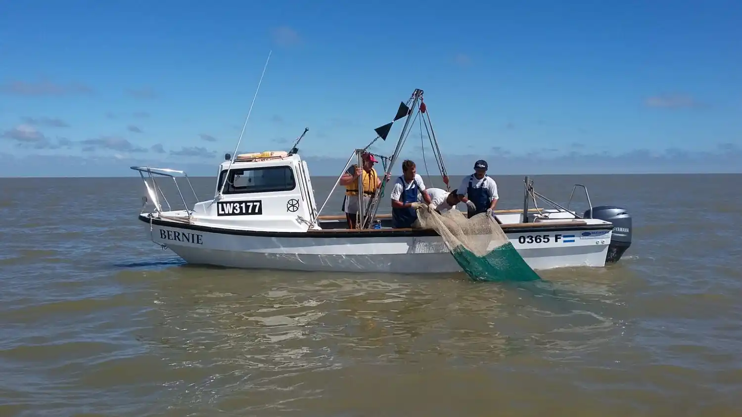 Realizarán una campaña de pesca experimental de cangrejos