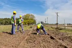 Intendentes de la región se reunirán por la vuelta del tren de cargas