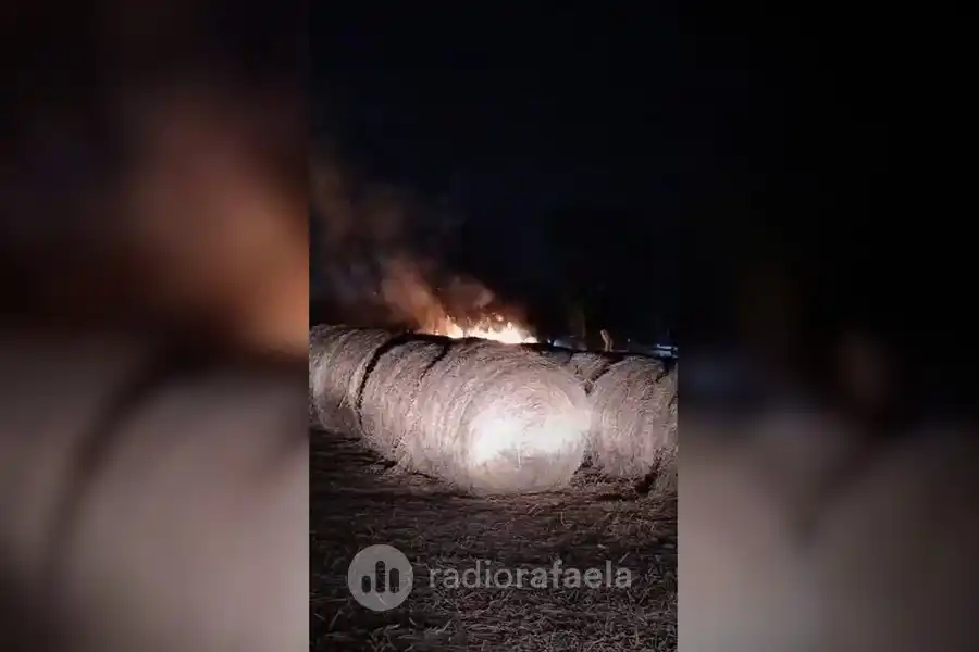 El testimonio de un productor afectado por la inseguridad: "La gente entra al campo como si fuese el patio de su casa y nadie hace nada"
