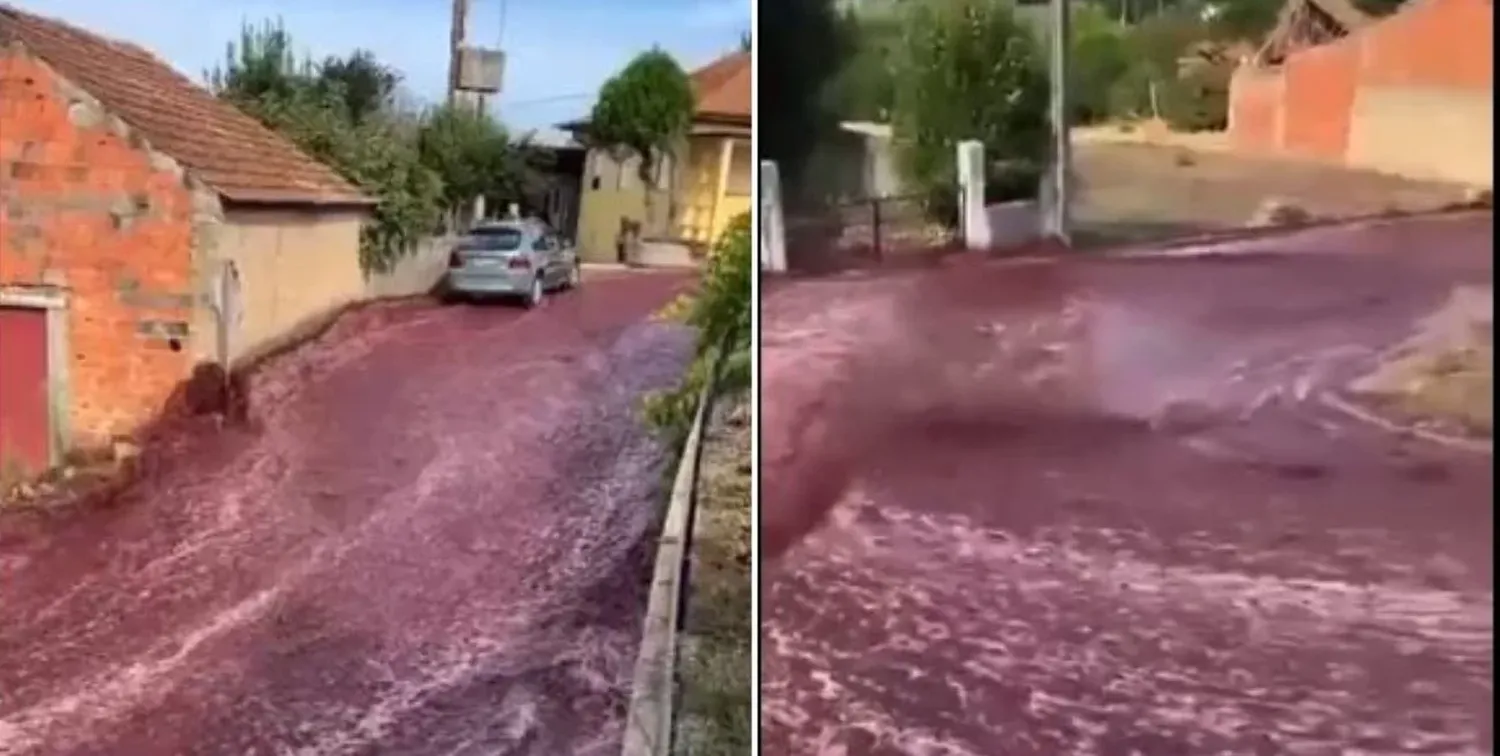 Los depósitos de la destilería Levira se rompieron y generó el desmoronamiento de los sistemas de seguridad para contener el vino. Crédito: Captura de pantalla.