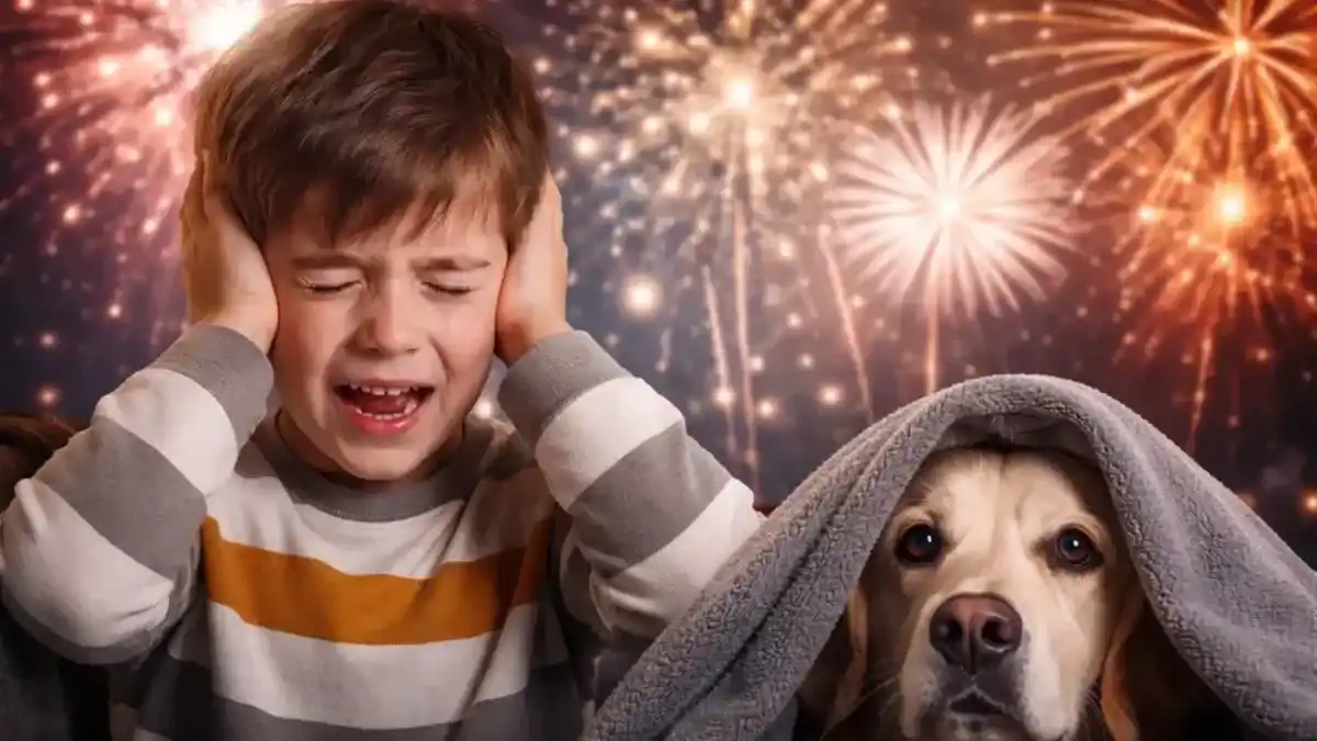 Programación especial de Radio Municipal busca proteger a mascotas y personas sensibles a la pirotecnia