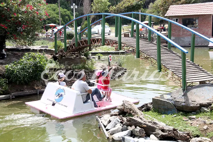 El Lago de los Cisnes volverá a prestar servicios