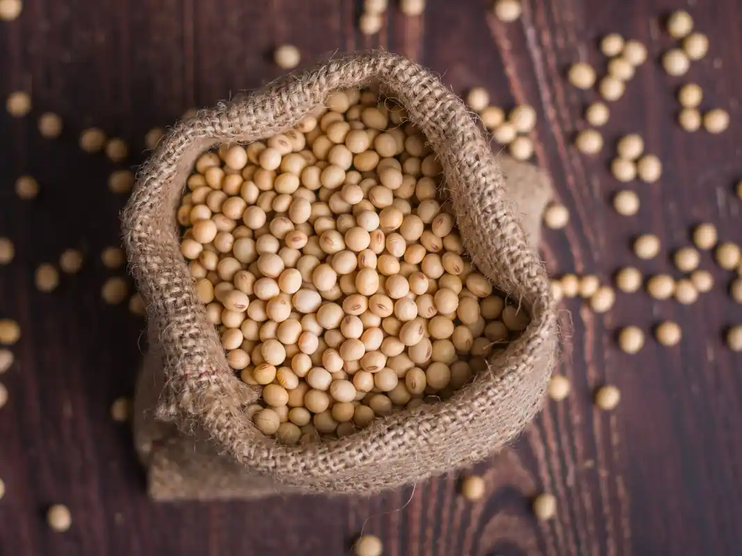 En ese contexto, no solo la soja registró subas: otros cultivos como el maíz y el trigo también avanzaron en las operaciones internacionales.