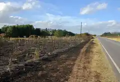 Bomberos trabajaron a destajo por distintos focos  de incendios 