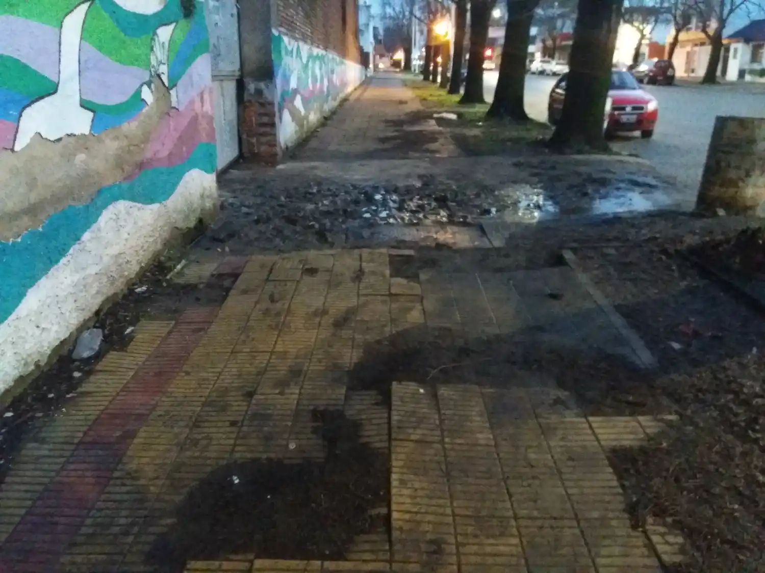 Estado de las veredas en Santamarina al 400