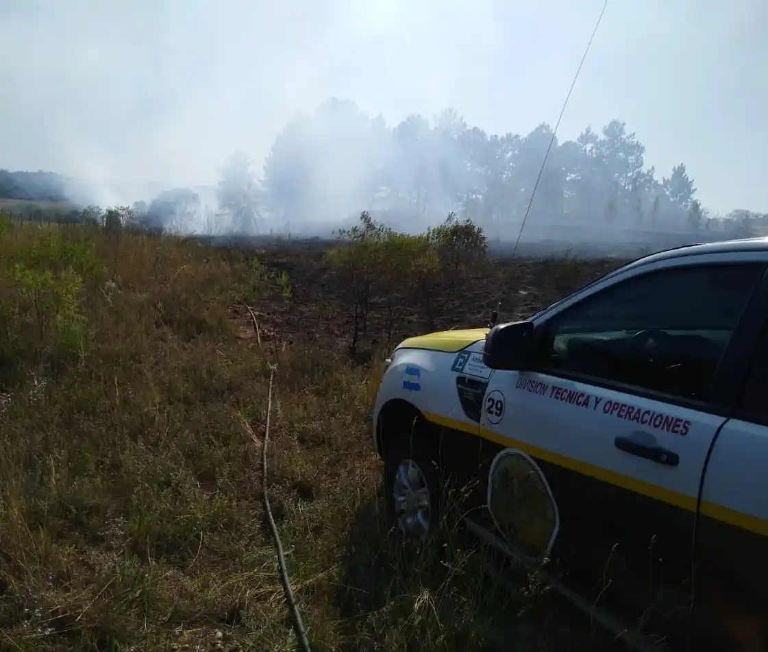 Incendio de pastizales en el acceso al ex Frigorífico La Paz